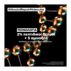 L΄Oreal Professionnel Serie Expert Absolut Repair Molecular Leave-In Mask 100ml