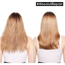 L΄Oreal Professionnel Serie Expert Absolut Repair Duo Gift Set (Shampoo 300ml, Mask 250ml)