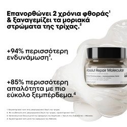 L΄Oreal Professionnel Serie Expert Absolut Repair Molecular Mask 250ml