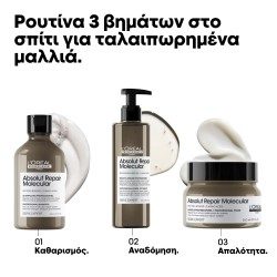 L΄Oreal Professionnel Serie Expert Absolut Repair Molecular Mask 250ml