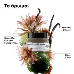 L΄Oreal Professionnel Serie Expert Absolut Repair Molecular Mask 250ml