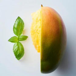 Authentic Beauty Concept Hydrate Curl Enhancer 250ml