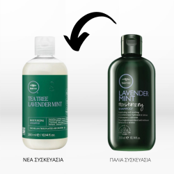 Paul Mitchell Tea Tree Lavender Mint Moisturizing Gift Duo (2x Shampoo 300ml) FREE Hairspray 50ml