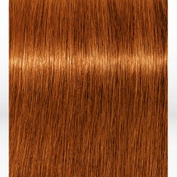 Schwarzkopf Professional Igora Royal Absolutes 7-70 Medium Blonde Copper Natural 60ml