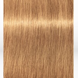 Schwarzkopf Professional Igora Royal Absolutes 9-50 Extra Light Blonde Gold Natural 60ml