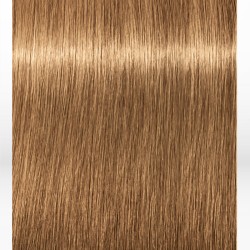 Schwarzkopf Professional Igora Royal Absolutes 8-50 Light Blonde Gold Natural 60ml