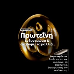 L΄Oreal Professionnel Serie Expert Absolut Repair Golden Trio (Shampoo 300ml, Golden Mask 250ml, Oil 90ml)