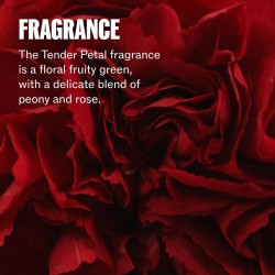 Wella Professionals Ultimate Repair Duo (Shampoo 250ml, Conditioner 200ml)