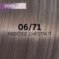 Wella Professionals Shinefinity Zero Lift Glaze 06/71 Frosted Chestnut 60ml