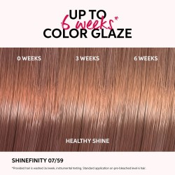 Wella Professionals Shinefinity Zero Lift Glaze 04/65 Deep Cherry 60ml