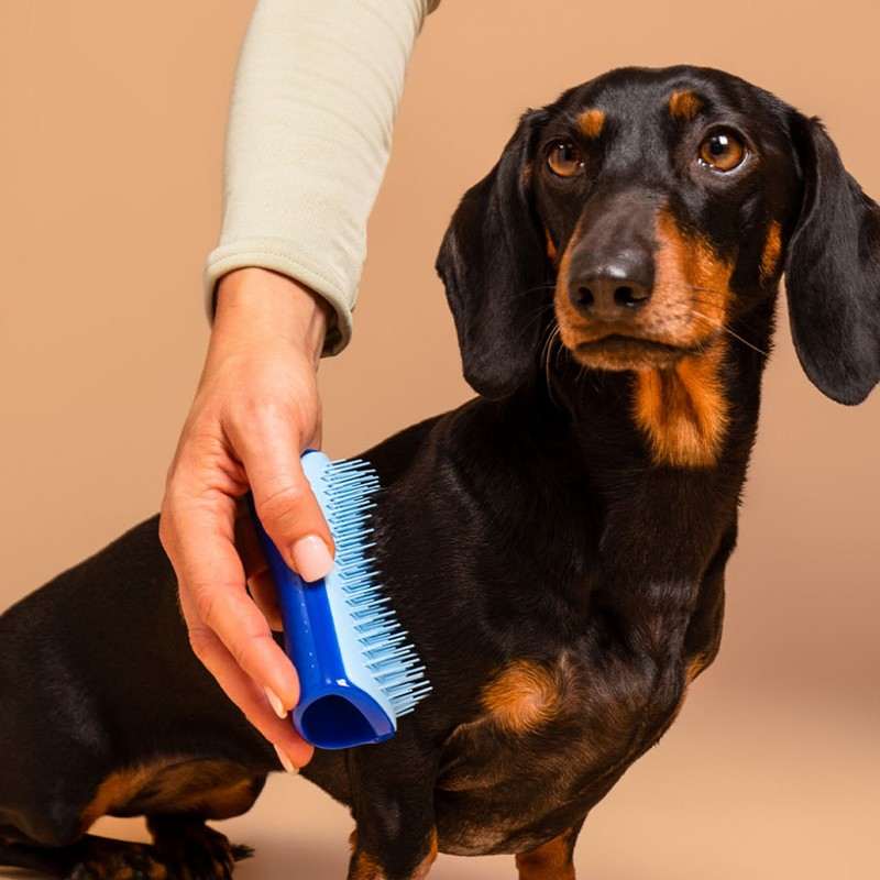 Pet Teezer Deshedding Blue/Light Blue Small Brush (Βούρτσα για Σκύλους)