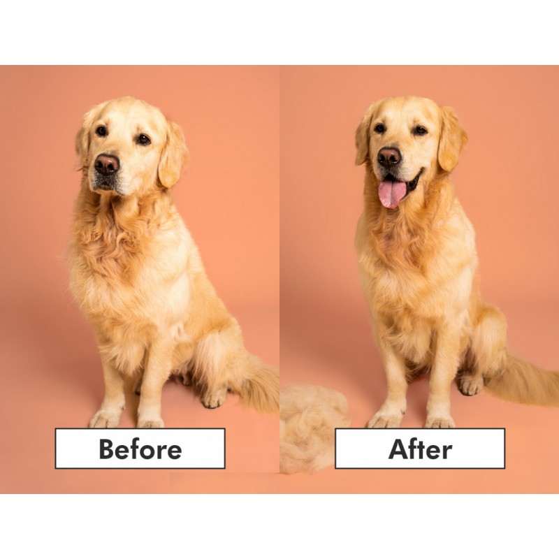 Pet Teezer Deshedding Blue/Light Blue Small Brush (Βούρτσα για Σκύλους)