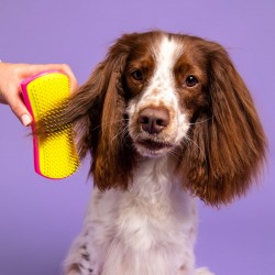 Pet Teezer Detangling Pink/Yellow Medium - Large Brush (Βούρτσα για Σκύλους)