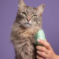 Pet Teezer Cat Teezer Green/Green One Size Brush (Βούρτσα για Γάτες)