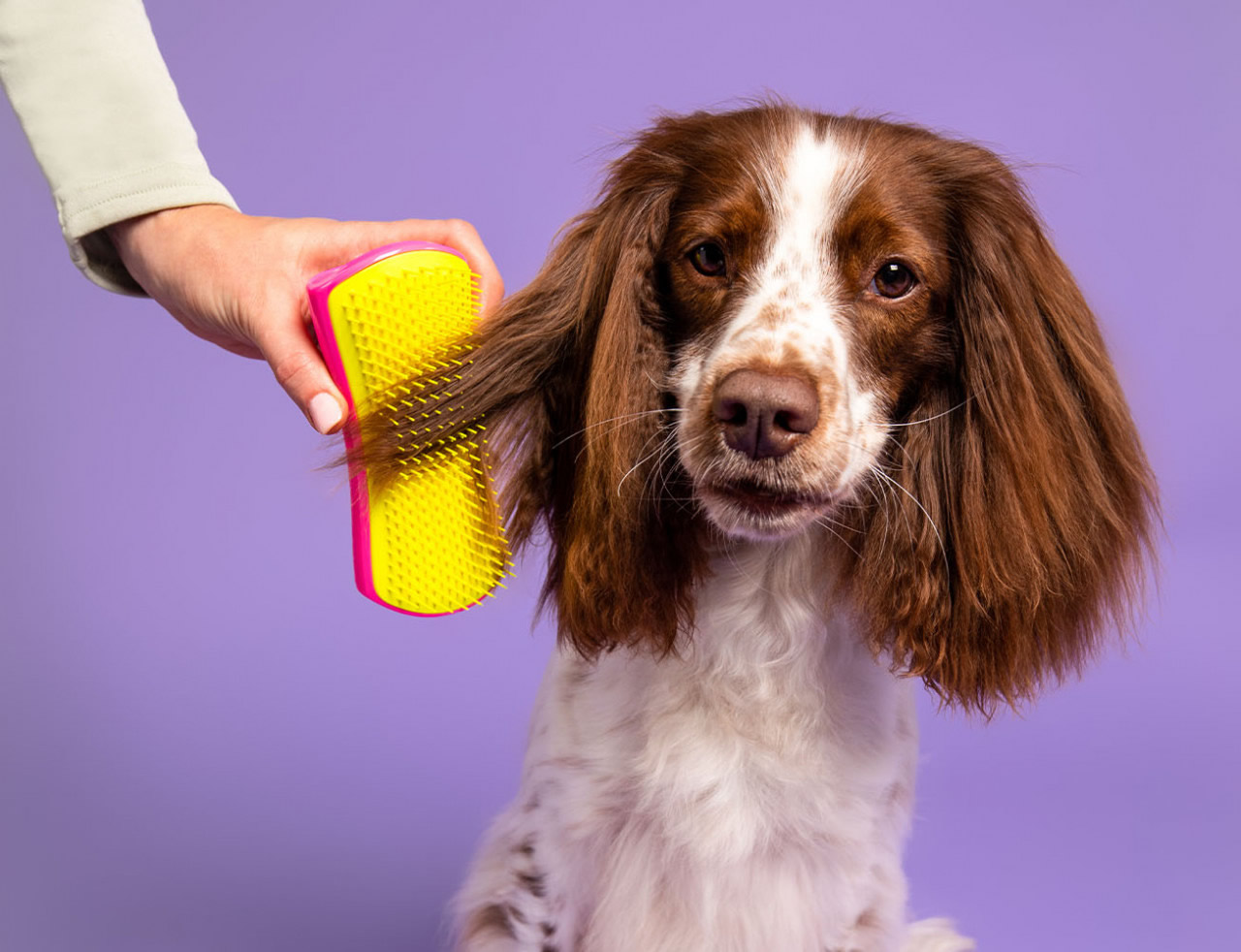 Pet Teezer Detangling Pink/Yellow Medium - Large Brush (Βούρτσα για Σκύλους)