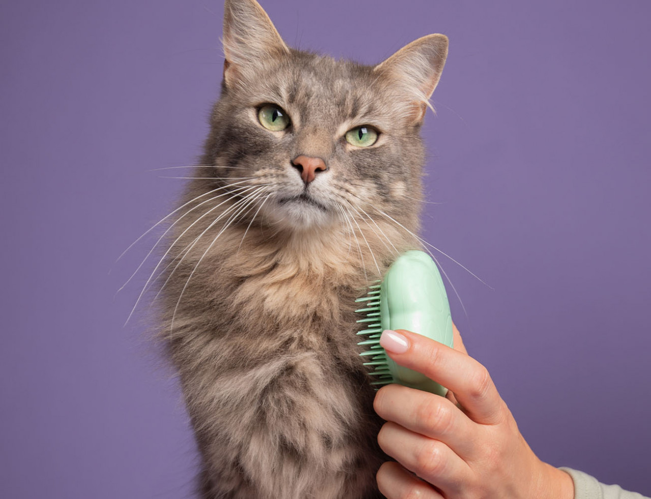 Pet Teezer Cat Teezer Green/Green One Size Brush (for Cats)