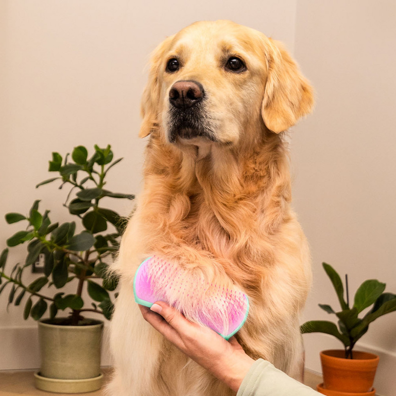 Pet Teezer Deshedding Mint/Pink Medium - Large Brush (Βούρτσα για Σκύλους)