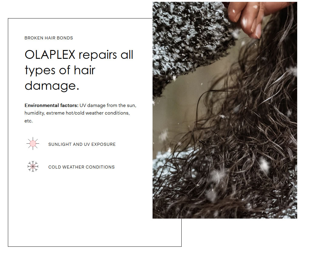 Olaplex no8