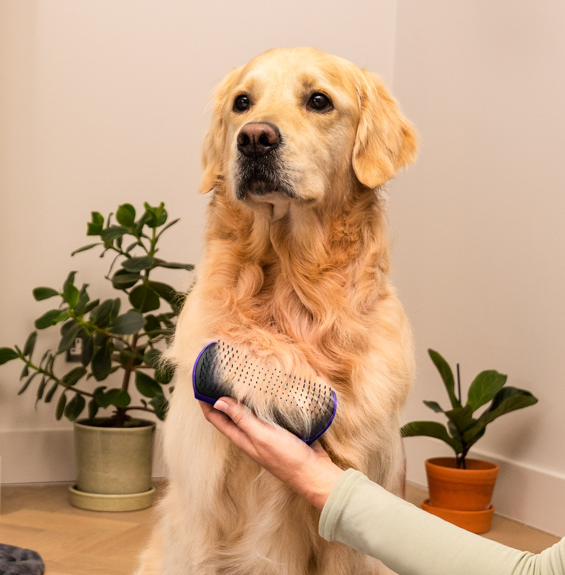 Pet Teezer Deshedding Blue/Light Blue Small Brush (Βούρτσα για Σκύλους)